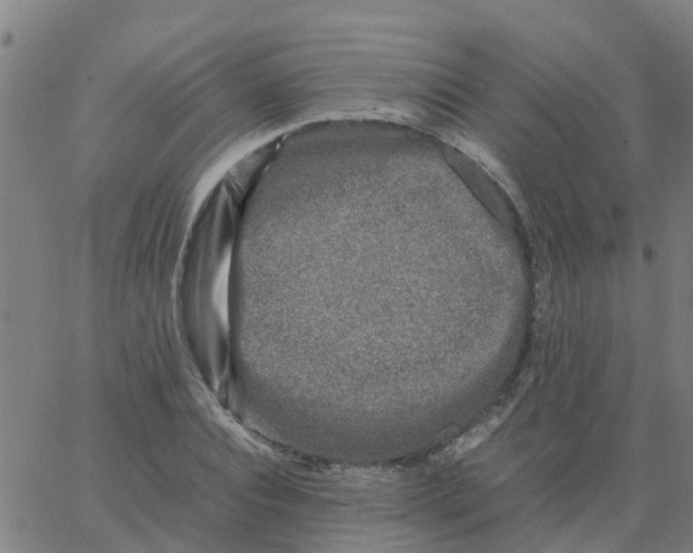 X0000066100928200603312021