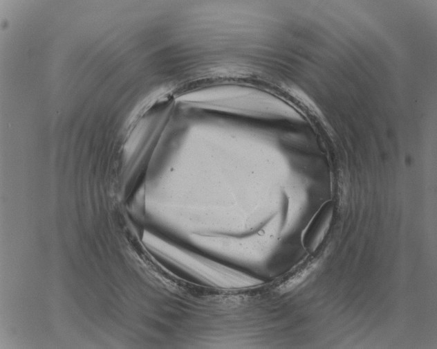 X0000066100930200603312021