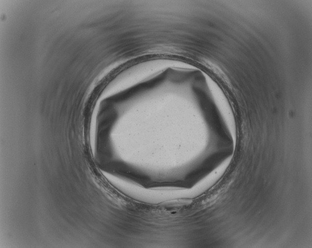 X0000066100931200603312021