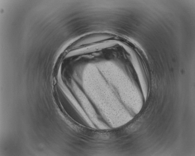 X0000066100935200603312021