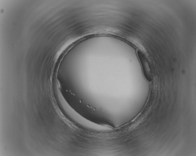 X0000066100936200603312021