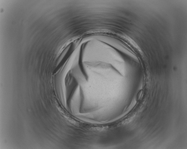 X0000066100937200603312021