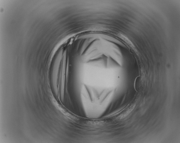 X0000066100939200603312022