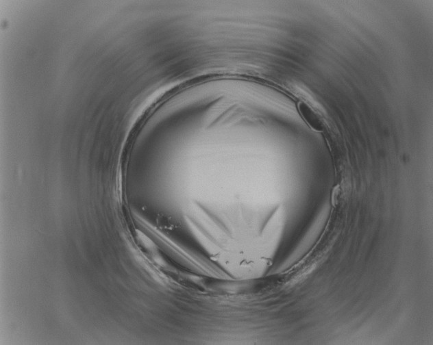 X0000066100940200603312022