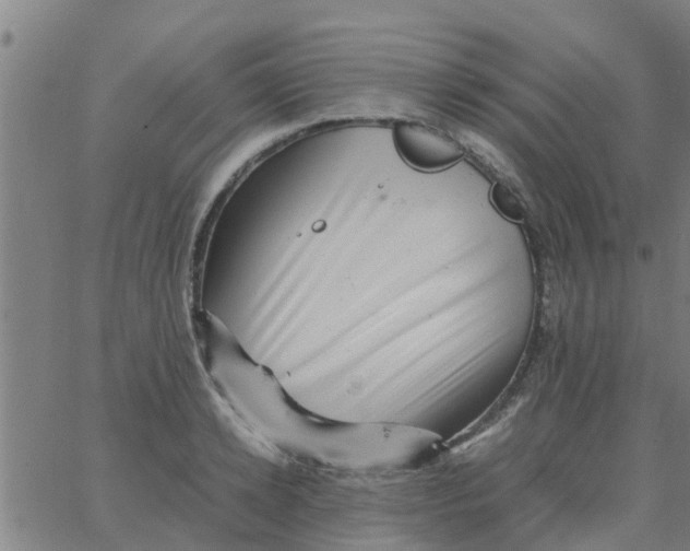 X0000066100942200603312022