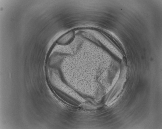 X0000066100943200603312022