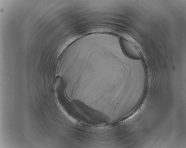 X0000066100945200603312022