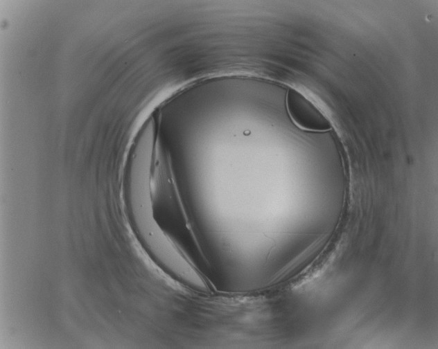 X0000066100949200603312022