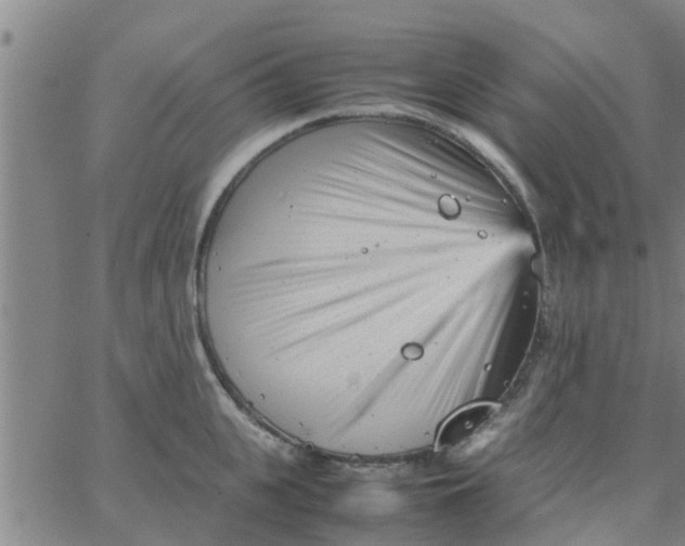 X0000066100951200603312022