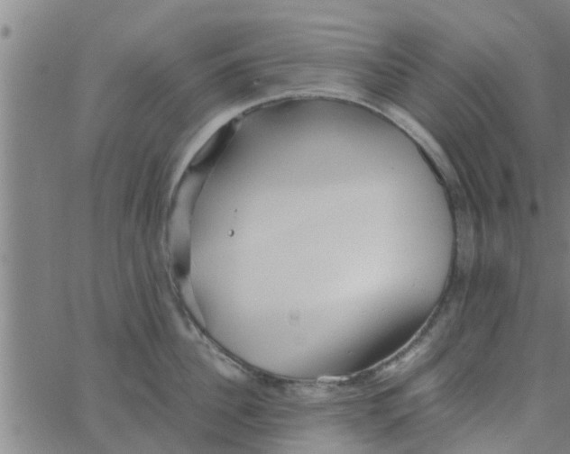 X0000066100956200603312022