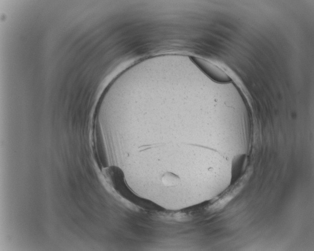 X0000066100957200603312022