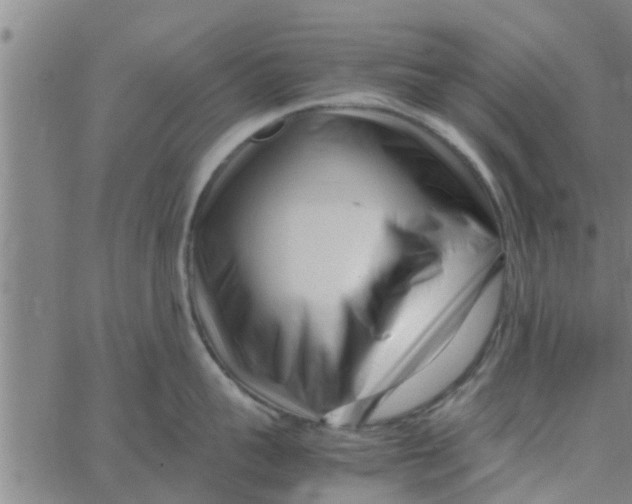 X0000066100959200603312022