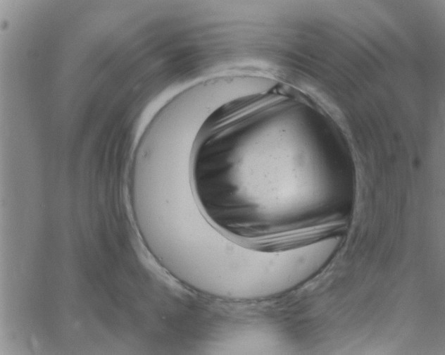 X0000066100960200603312022