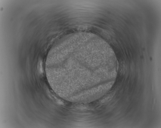 X0000066100962200603312021