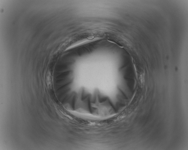 X0000066100963200603312021