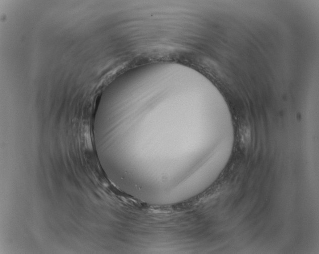 X0000066100964200603312021