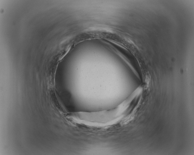 X0000066100965200603312021