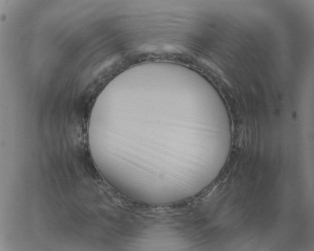 X0000066100966200603312021