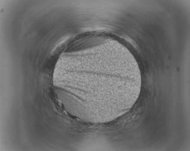 X0000066100967200603312021