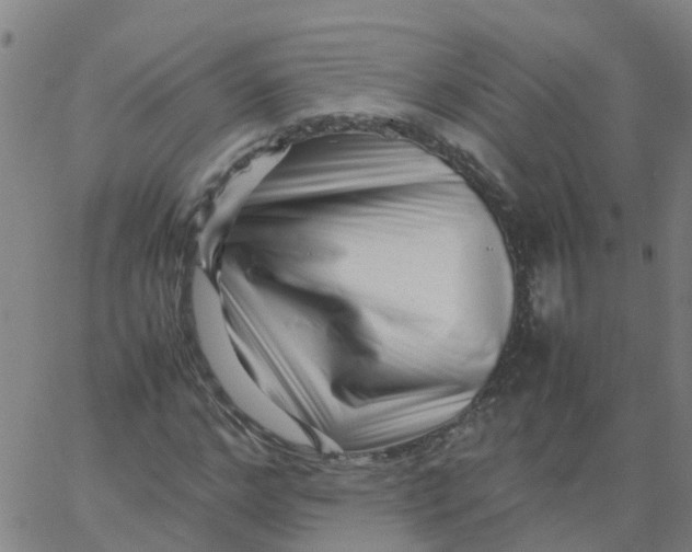 X0000066100968200603312021