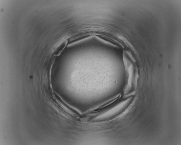 X0000066100969200603312021