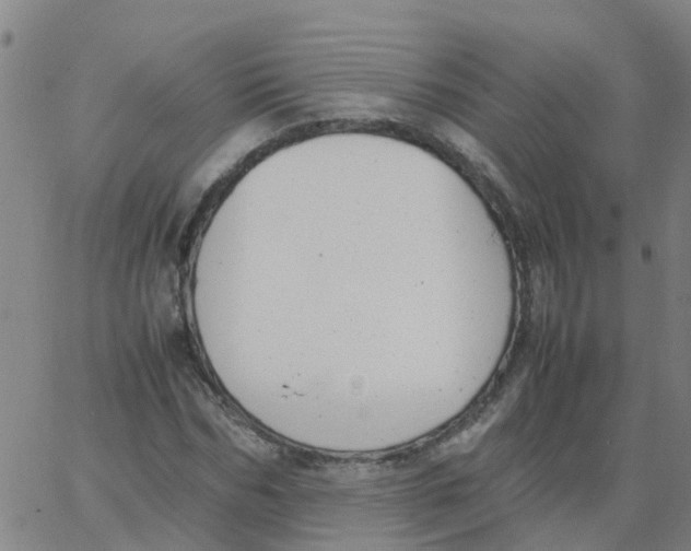 X0000066100970200603312021