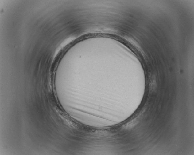 X0000066100974200603312021