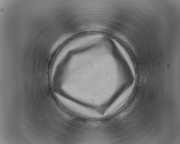 X0000066100978200603312021