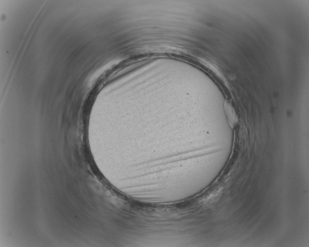 X0000066100979200603312021