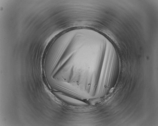 X0000066100980200603312021