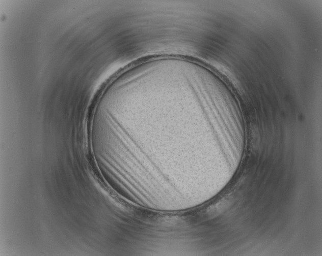 X0000066100982200603312021