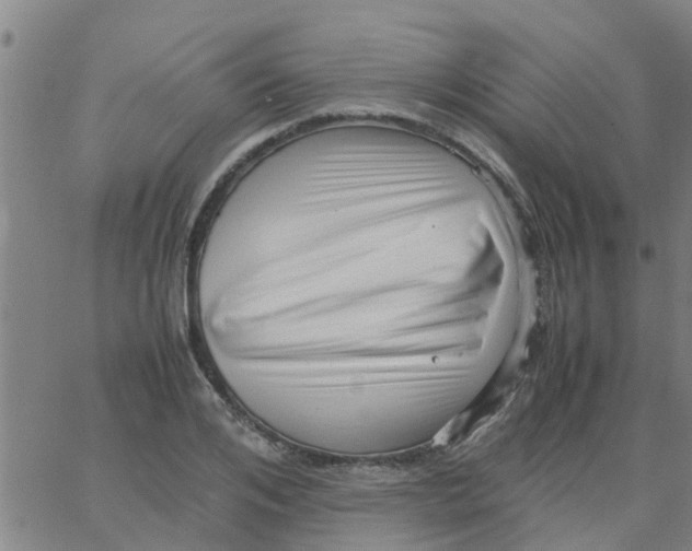 X0000066100984200603312021