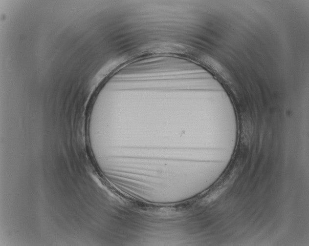 X0000066100986200603312021