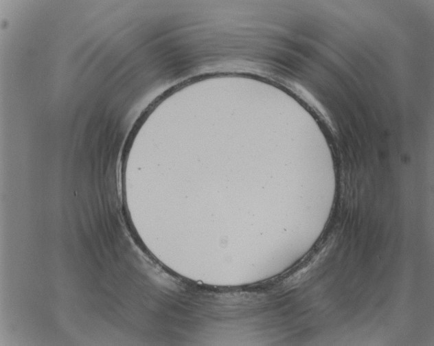 X0000066100988200603312021