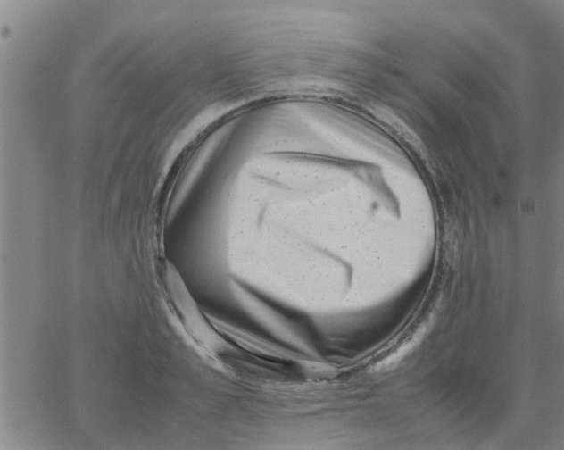 X0000066100989200603312021