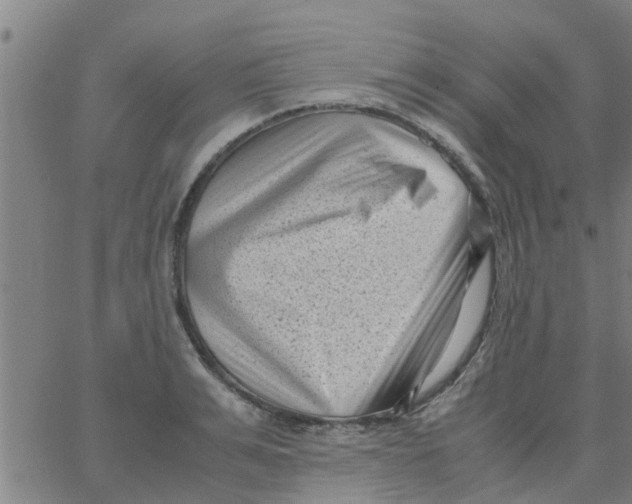 X0000066100991200603312021