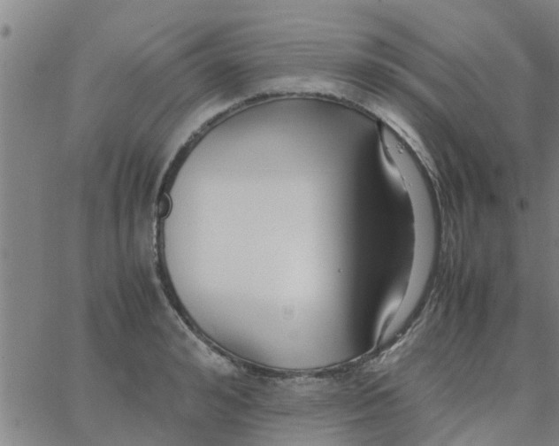 X0000066100992200603312021