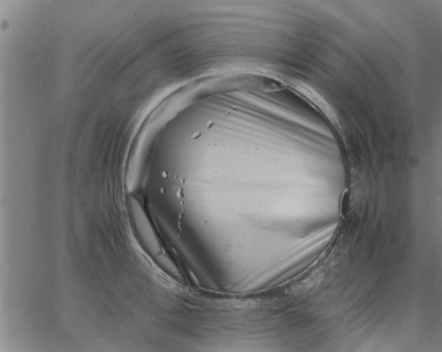 X0000066100996200603312021