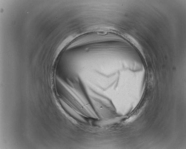 X0000066100997200603312020