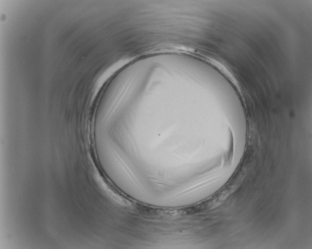 X0000066101003200603312020