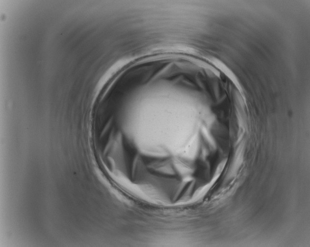 X0000066101005200603312020