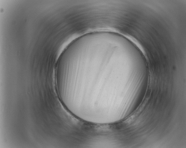 X0000066101006200603312020