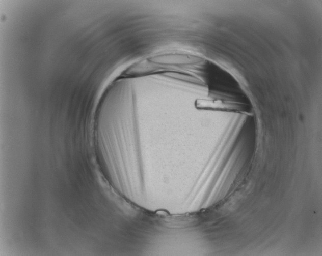 X0000066101008200603312020