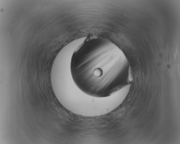 X0000066101010200603312019