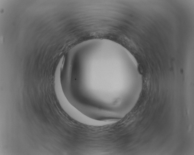 X0000066101012200603312019