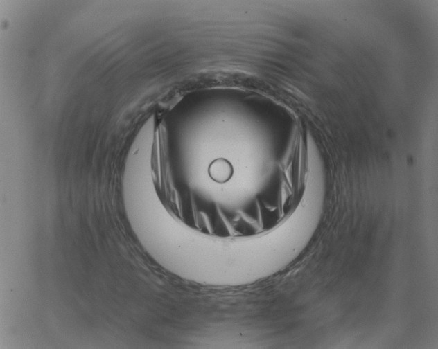 X0000066101014200603312020