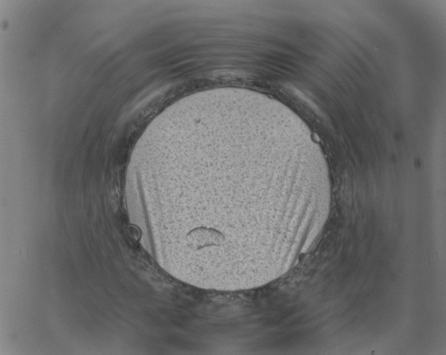 X0000066101015200603312020