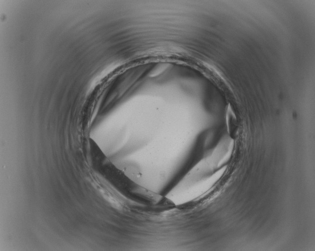 X0000066101018200603312020