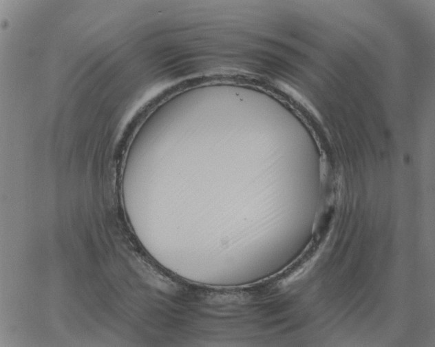 X0000066101021200603312020