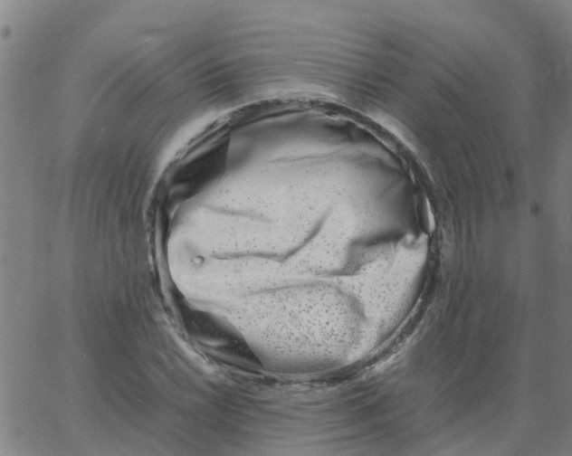 X0000066101022200603312020